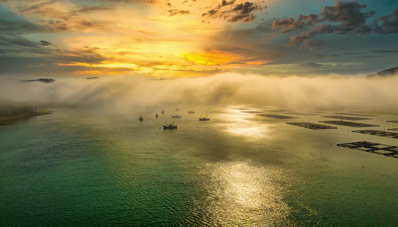 Rías gallegas al amanecer con bateas y barcos de pesca