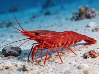Gamba